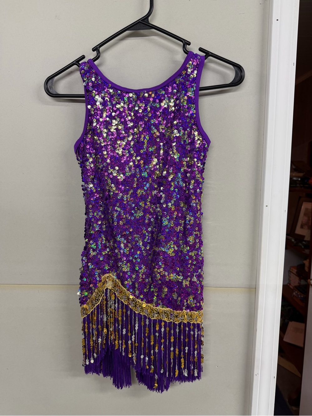Girls Purple Sequin Fringe Dance Costume